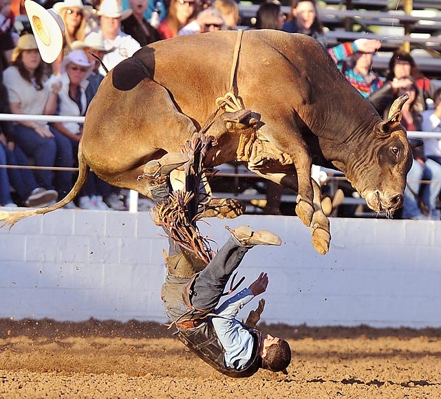 Bucking the bull….. | Redzhis
